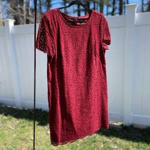 Ann Taylor Dress